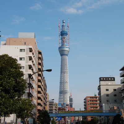東京スカイツリー（2011年12月19日、現在514m）　たいめいる2011年1月号