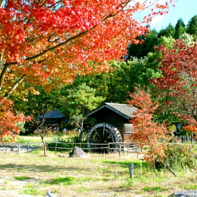 福島県二本松市「安達ヶ原ふるさと村」　たいめいる2013年11月号