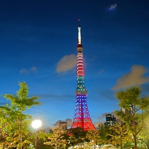 夜の東京タワー　たいめいる2014年9月号